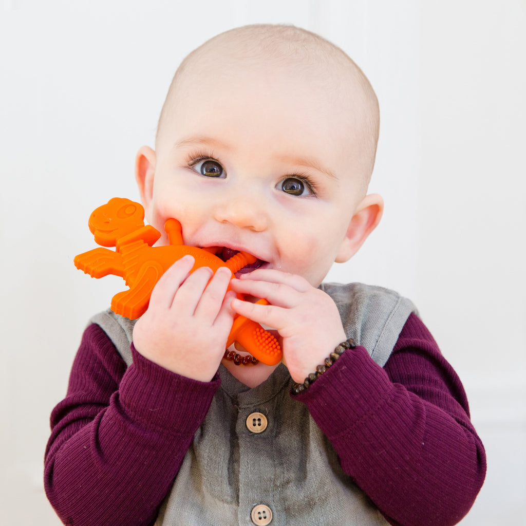 Bambeado Dibly the Dino-Sore-No-More - Orange