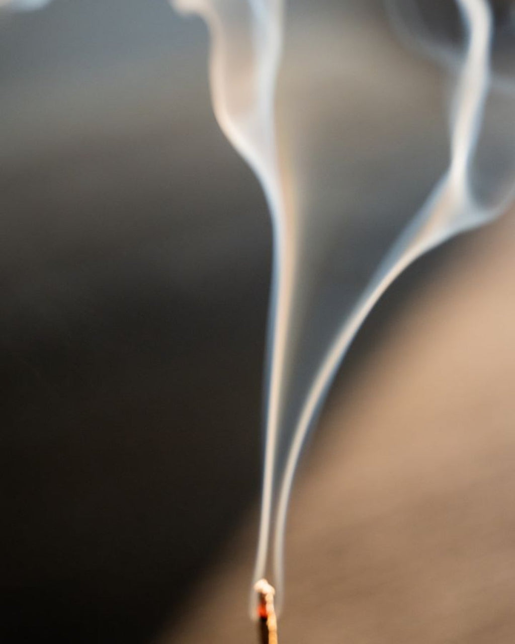 Juniper Ridge Sweetgrass Campfire Incense 20 Sticks 3-Pack SpadezStore