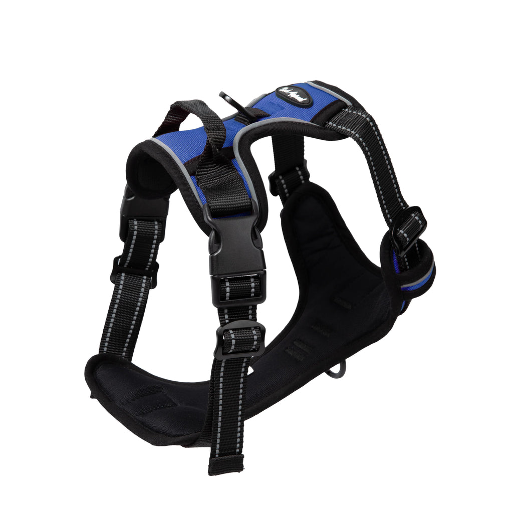 Bark Appeal Reflective Control Harness