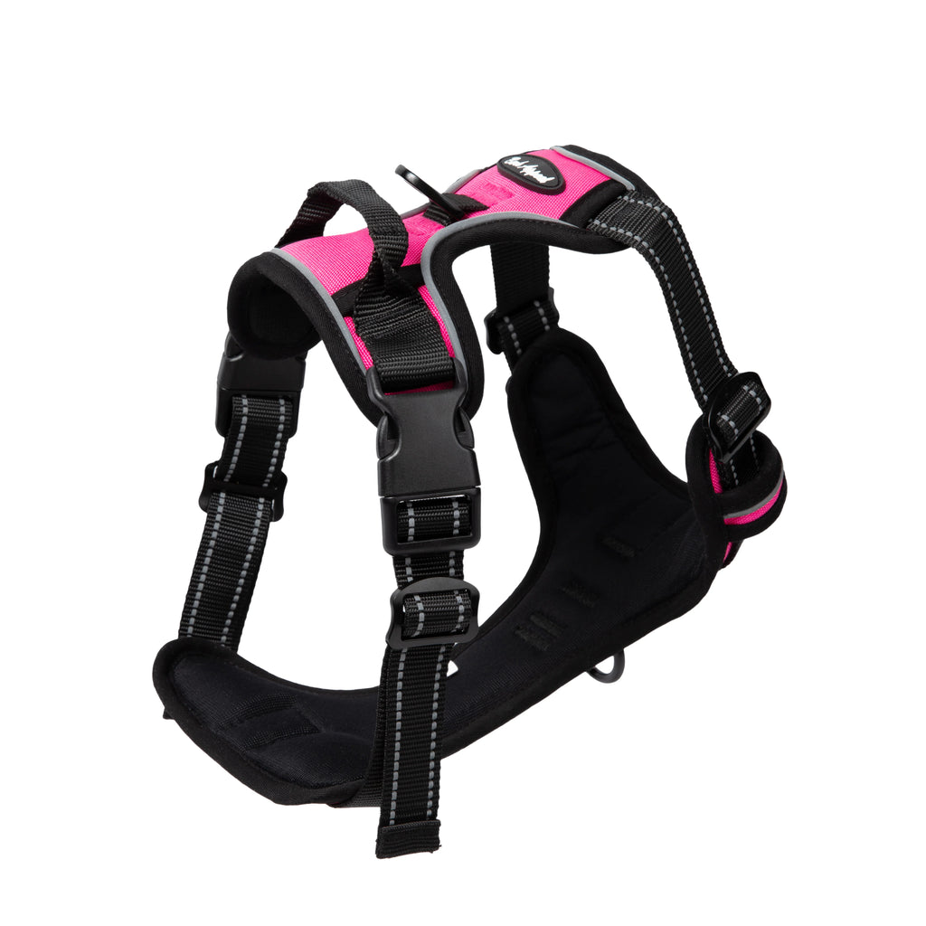 Bark Appeal Reflective Control Harness