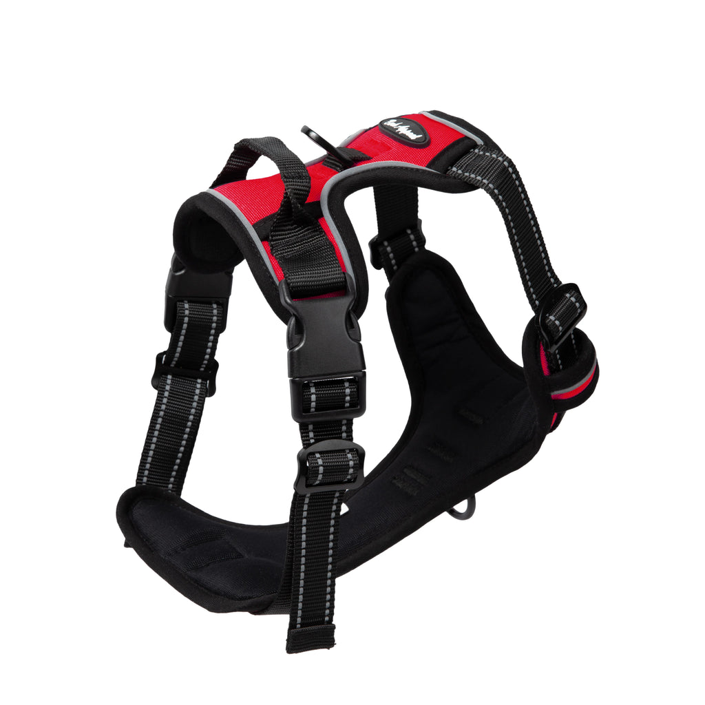 Bark Appeal Reflective Control Harness