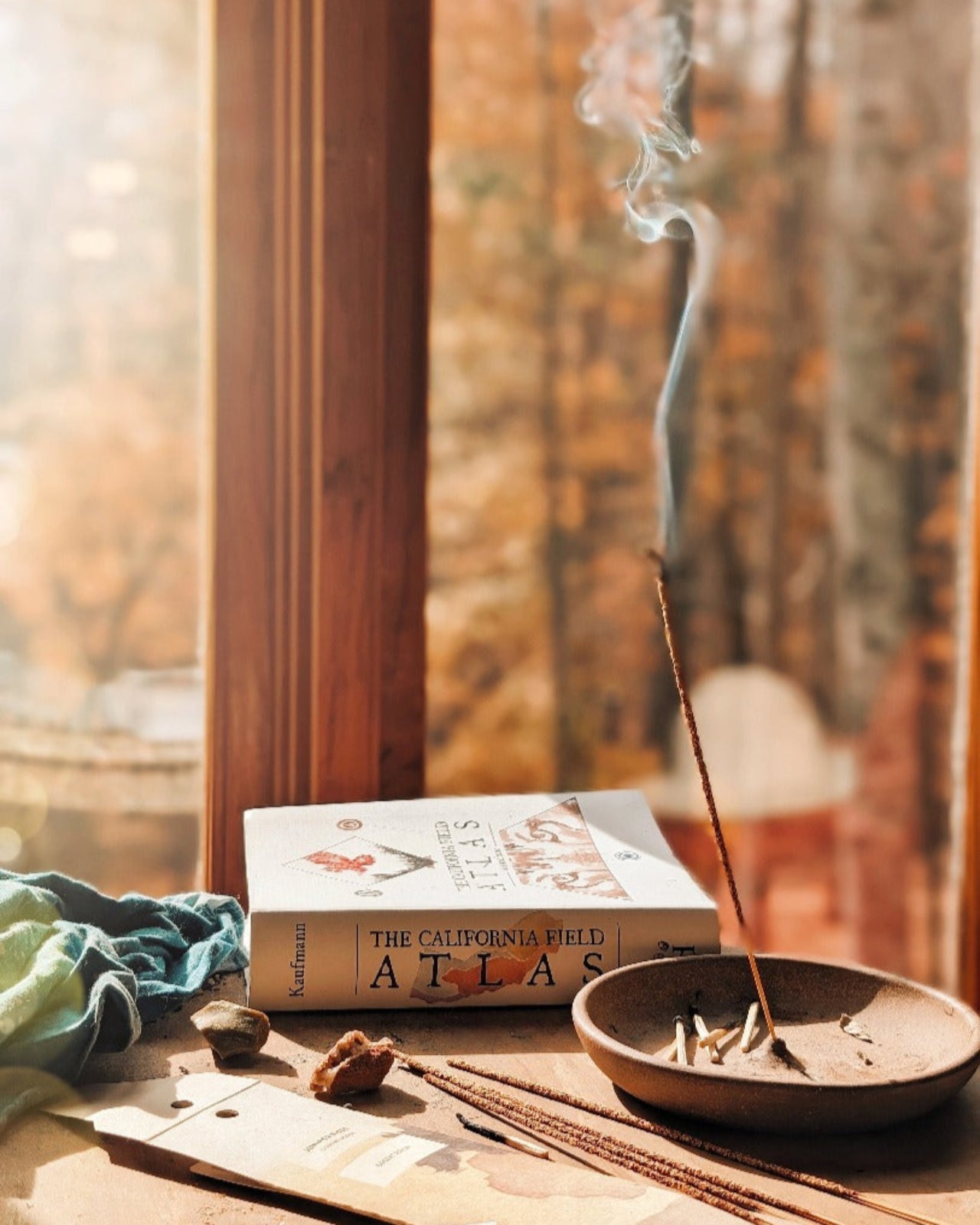 Juniper Ridge Desert Piñon Campfire Incense 20 Sticks 3-Pack SpadezStore