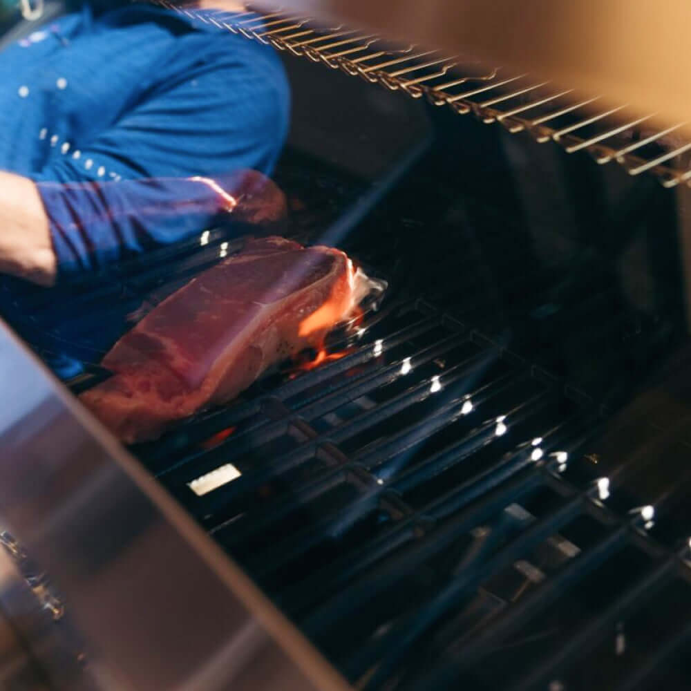 Monument Grills Denali 605 | Stainless Smart Tech Natural/Propane Gas Grill SpadezStore