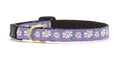 Up Country Daisy Cat Collar SpadezStore
