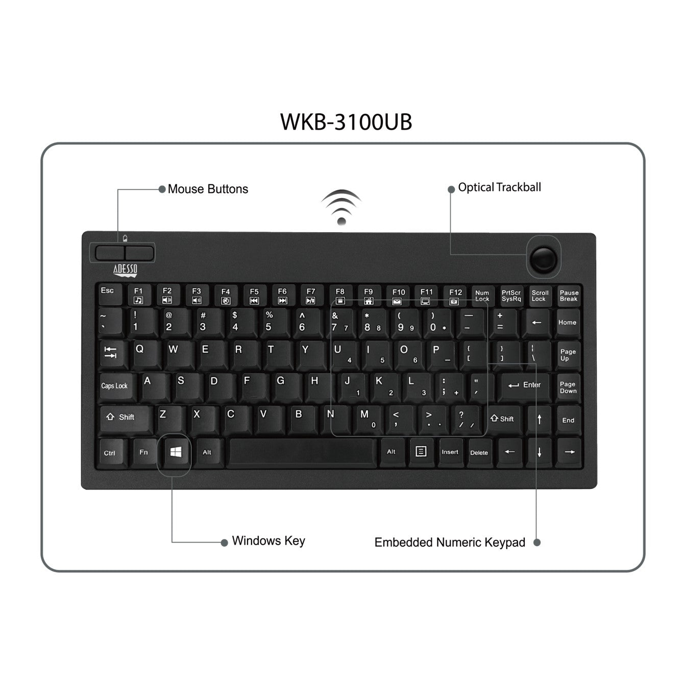 Adesso WKB-3100UB Wireless Keyboard SpadezStore