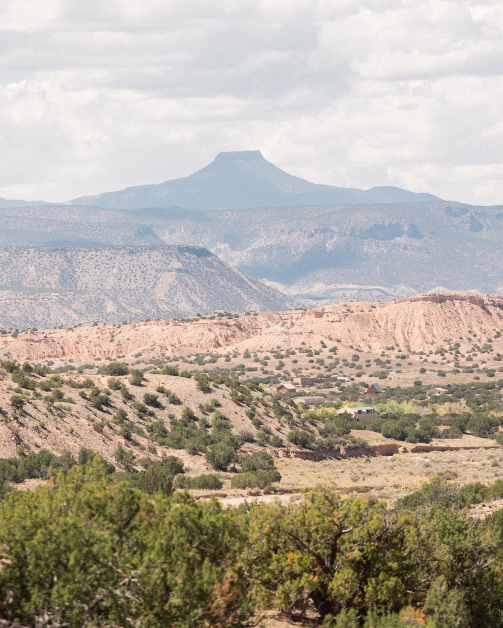 Juniper Ridge Desert Cedar Bar Soap 3-Pack SpadezStore
