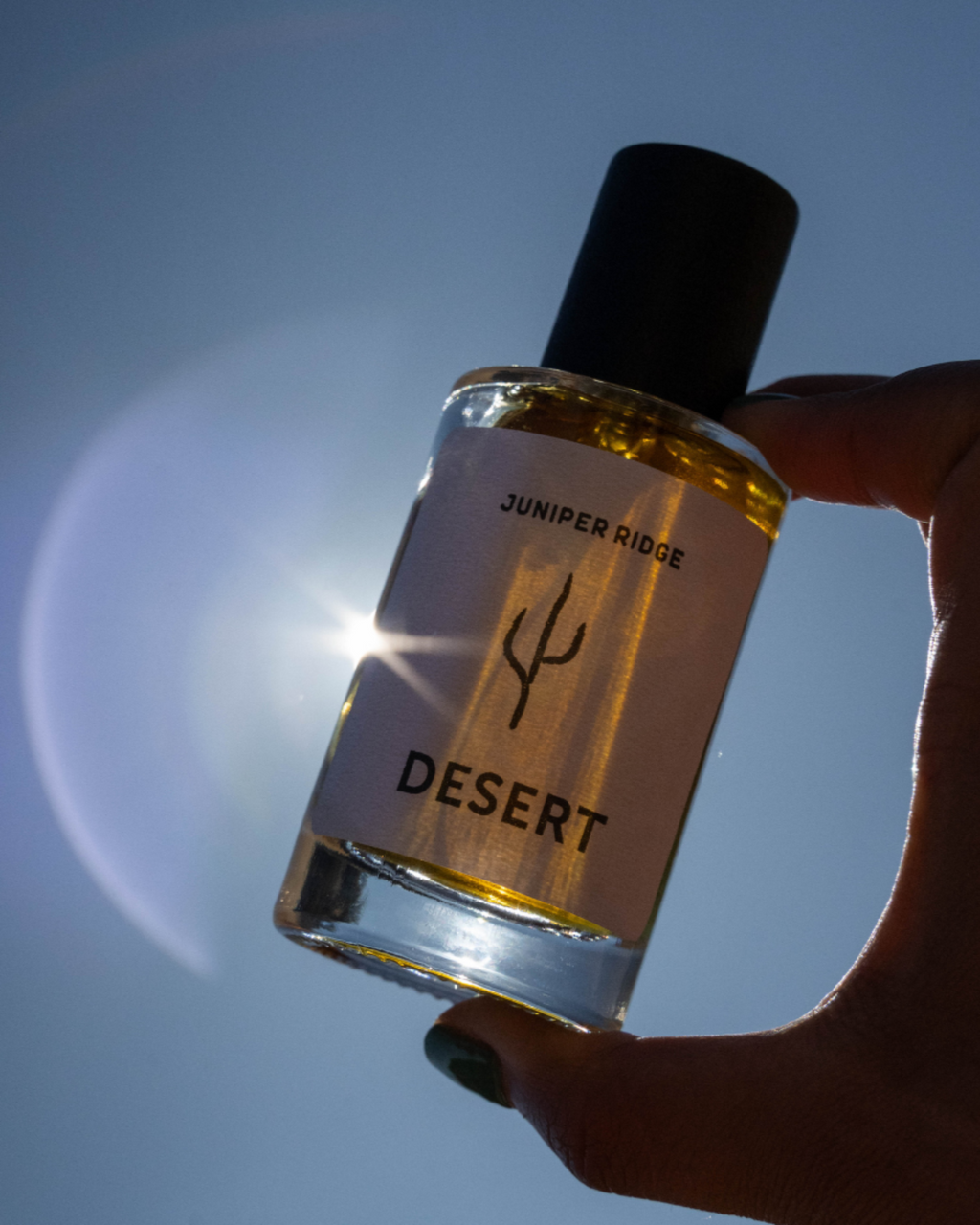 Juniper Ridge Desert Wilderness Cologne SpadezStore