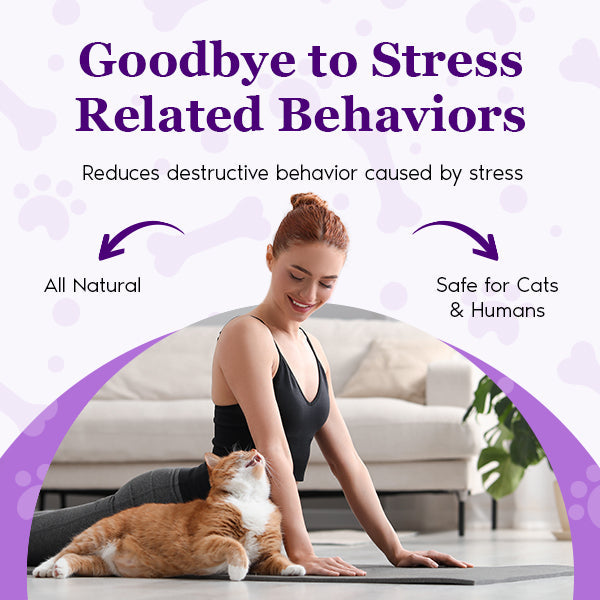 Petnatics Purrfect Calm Diffuser SpadezStore