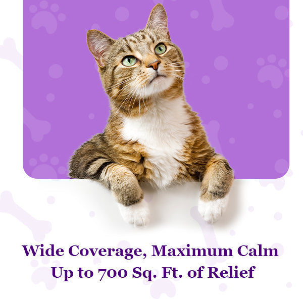 Petnatics Purrfect Calm Diffuser SpadezStore