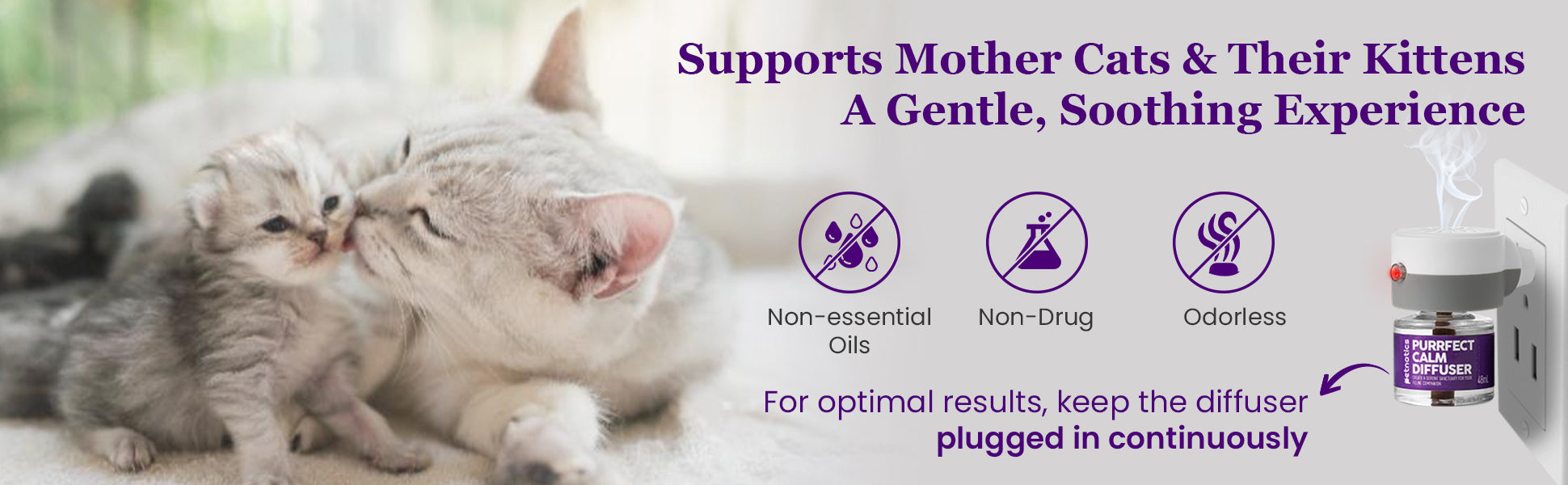 Petnatics Purrfect Calm Diffuser SpadezStore