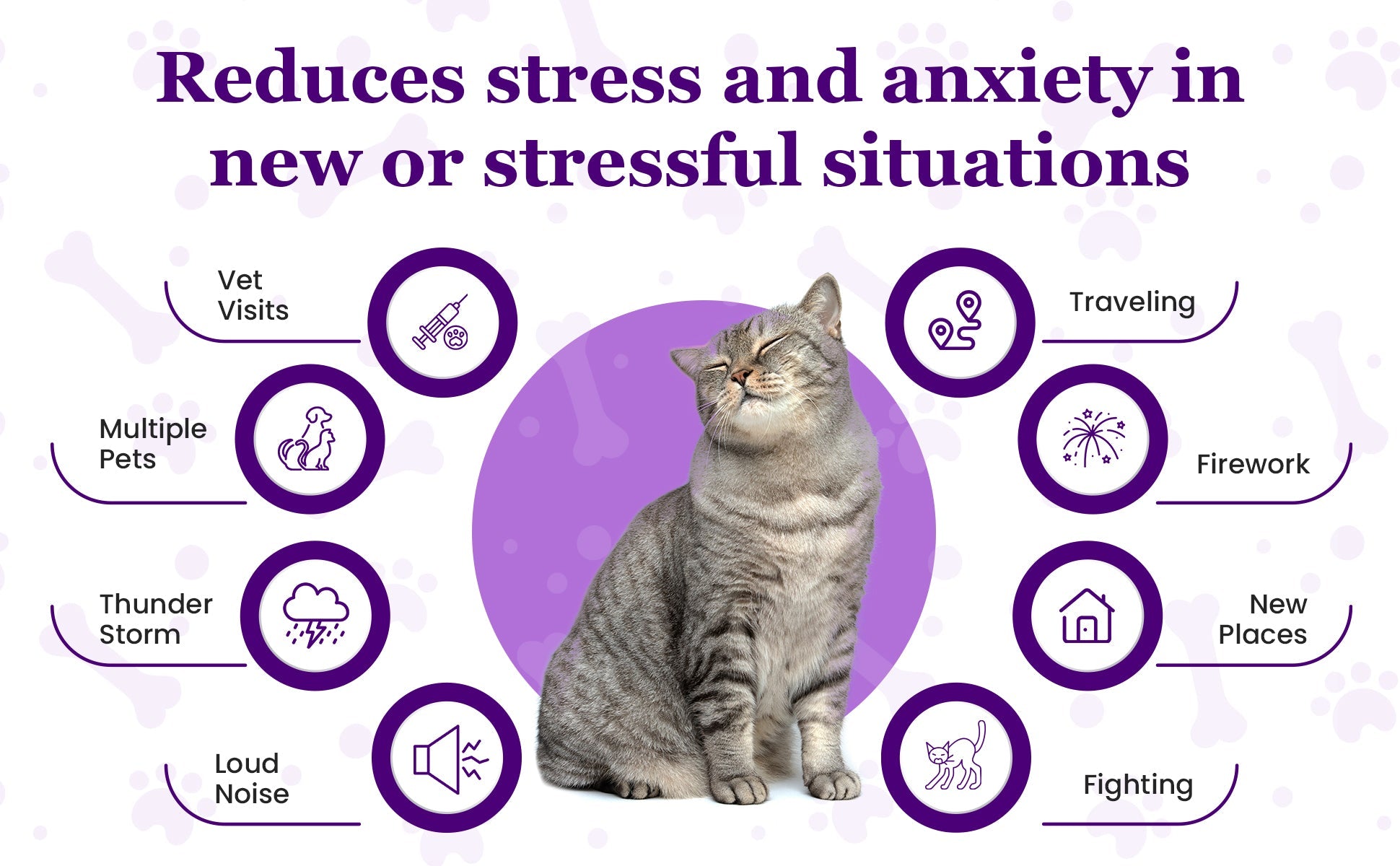 Petnatics Purrfect Calm Diffuser SpadezStore