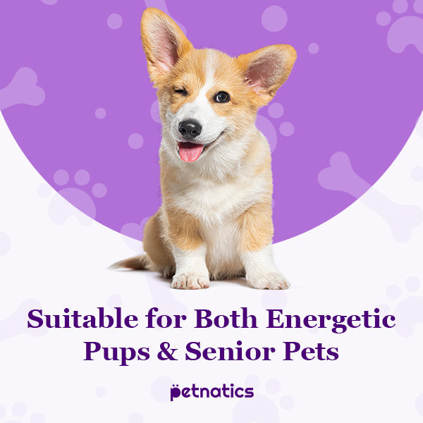 Petnatics PawBalm ReducedSlip SpadezStore