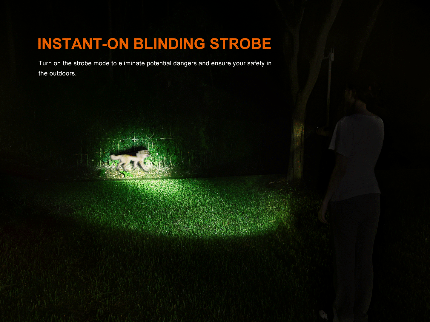 Fenix LD35R High Performance Multimode Tactical Flashlight SpadezStore