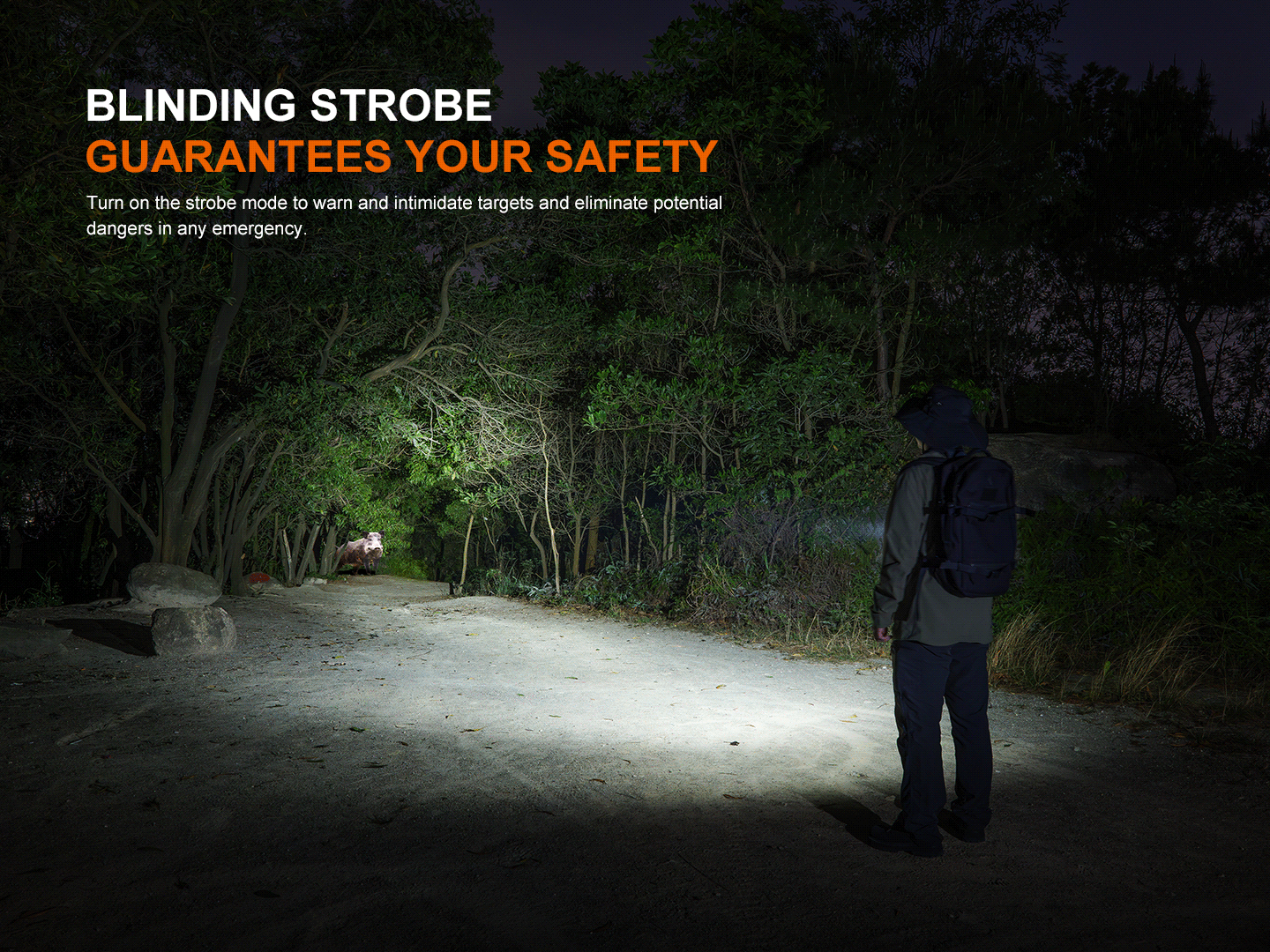 Fenix LD36R Multicolor Flashlight SpadezStore