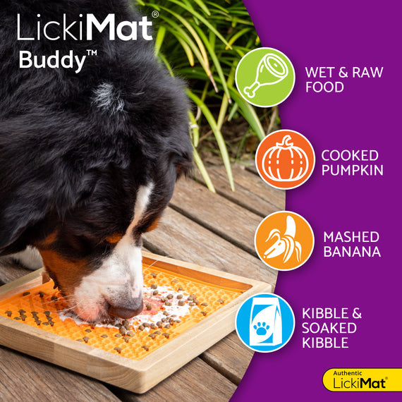 LickiMat Buddy
