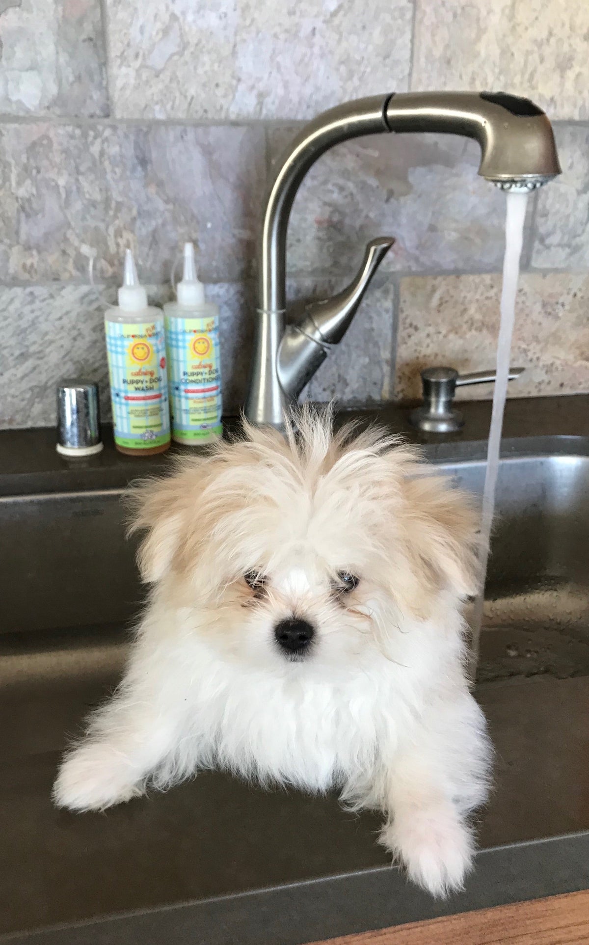 California Baby Calming™  Puppy + Dog Conditioner