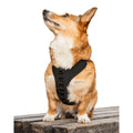K9 Sport Harness SpadezStore