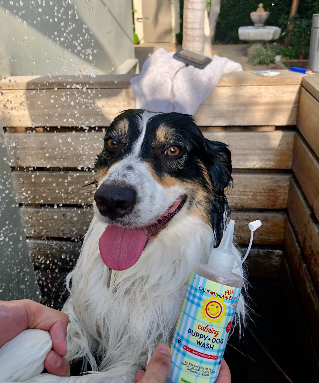 California Baby Calming™ Puppy + Dog Wash