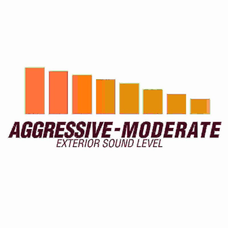 Flowmaster American Thunder Cat-Back Exhaust System 817895 SpadezStore