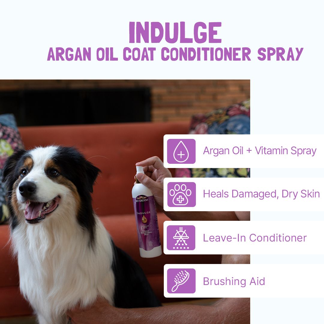Bio-Groom Indulge Argan Oil Daily Brushing Aid Spray SpadezStore
