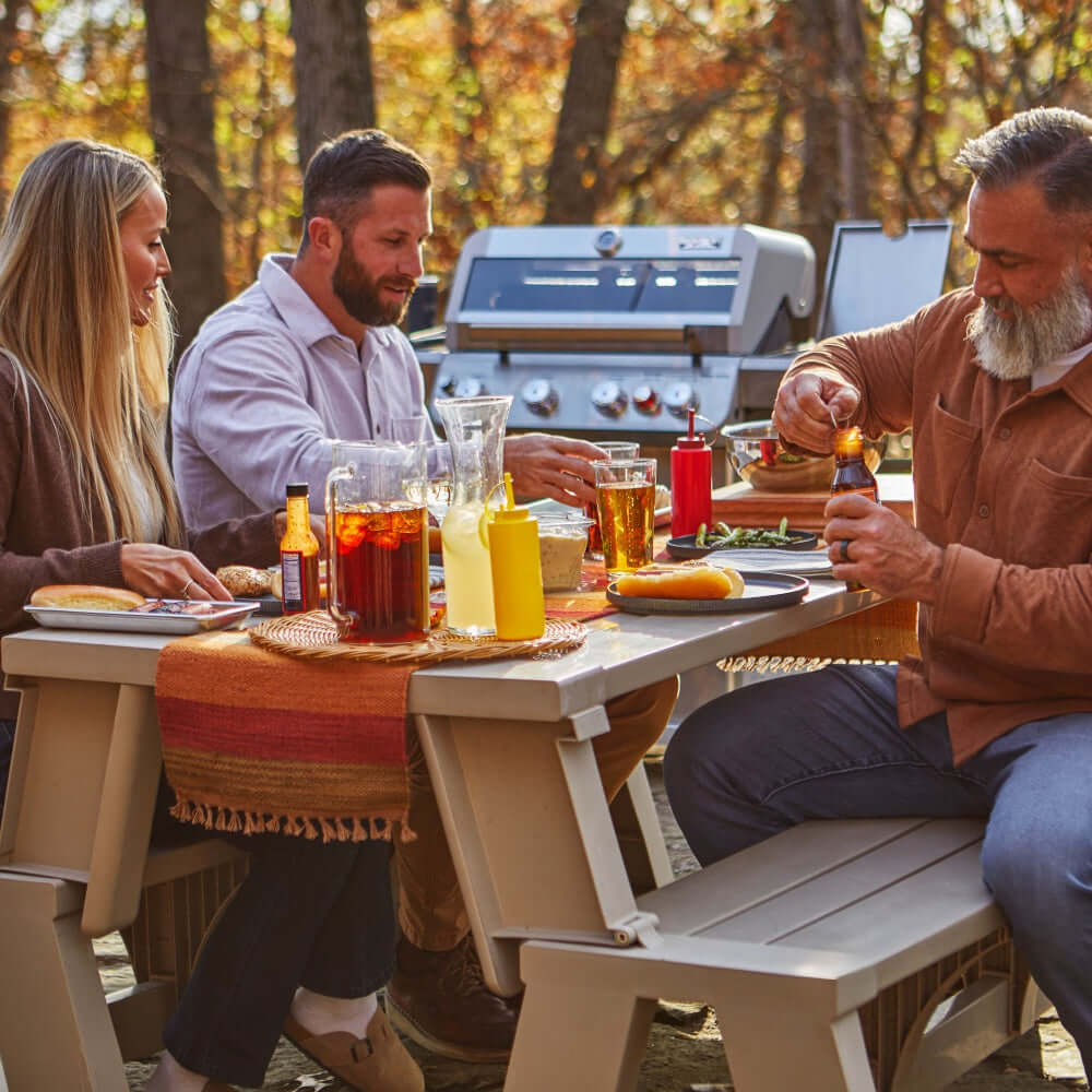 Monument Grills Mesa 415BZ | Stainless Propane Gas Grill SpadezStore