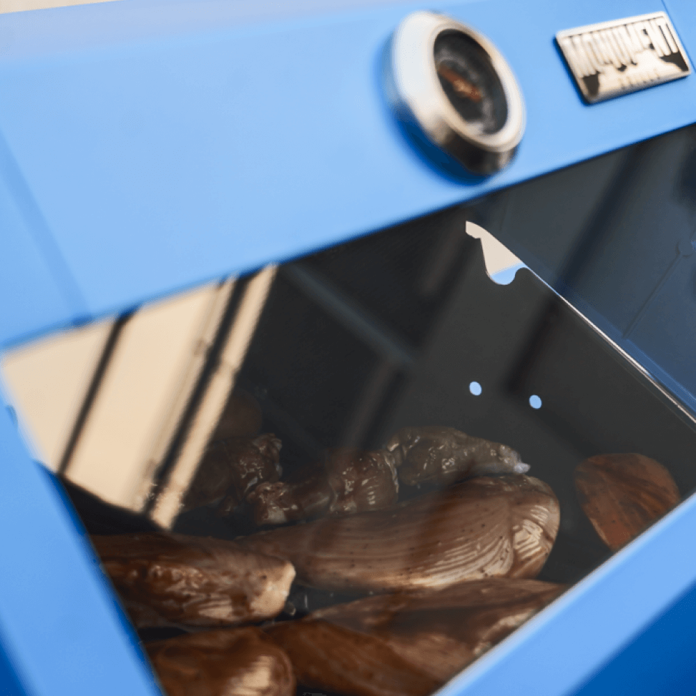 Monument Grills Mesa 200 | Matte Color Propane Gas Grill SpadezStore