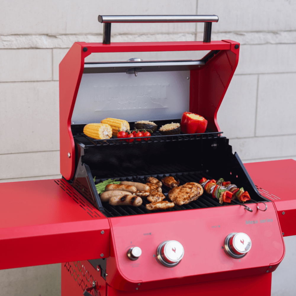 Monument Grills Mesa 200 | Matte Color Propane Gas Grill SpadezStore