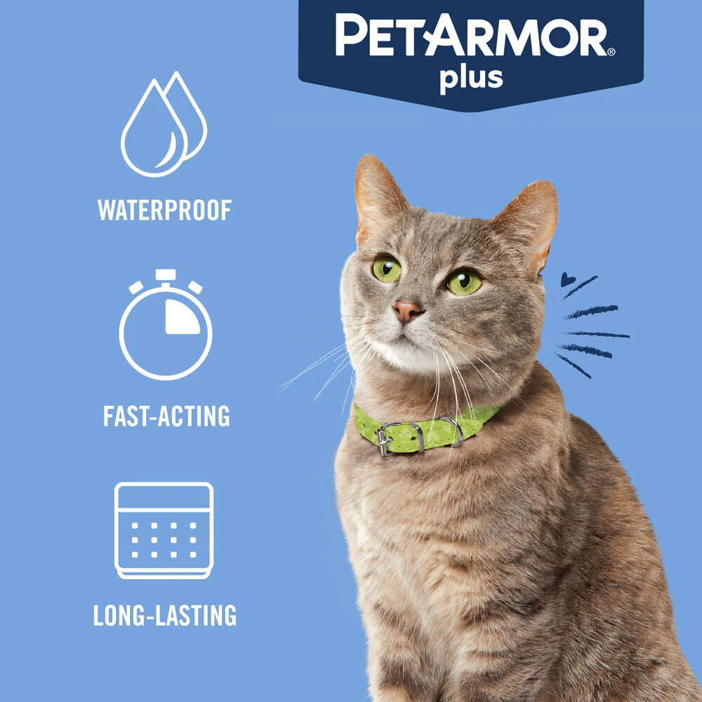 PetArmor Flea and Tick Treatment for Cats Over 1.5 Pounds SpadezStore
