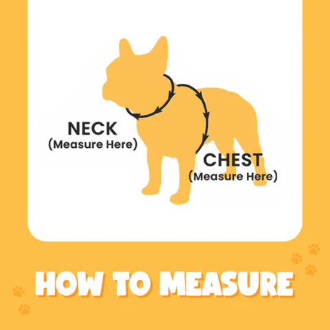 Bark Appeal Reflective Control Harness