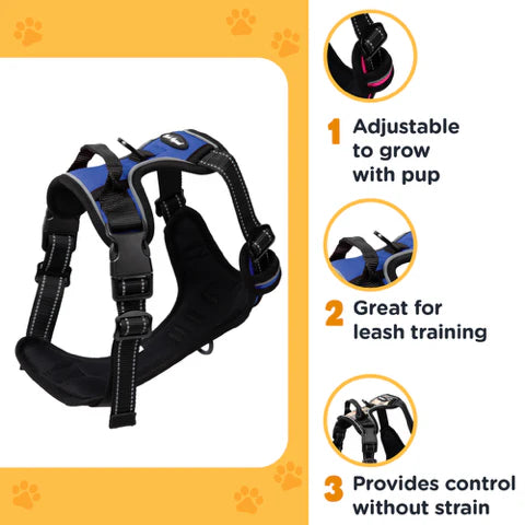 Bark Appeal Reflective Control Harness