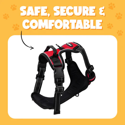 Bark Appeal Reflective Control Harness