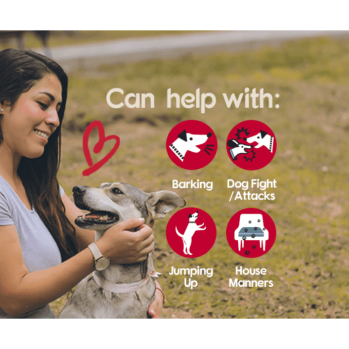Company of Animals Pet Corrector SpadezStore