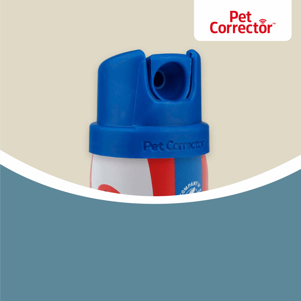 Company of Animals Pet Corrector SpadezStore