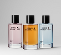 Bravo Sierra The Scent Edit