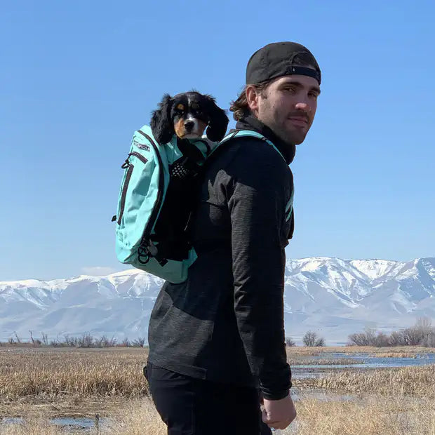 K9 Sport Sack Plus 2 Dog Carrier SpadezStore