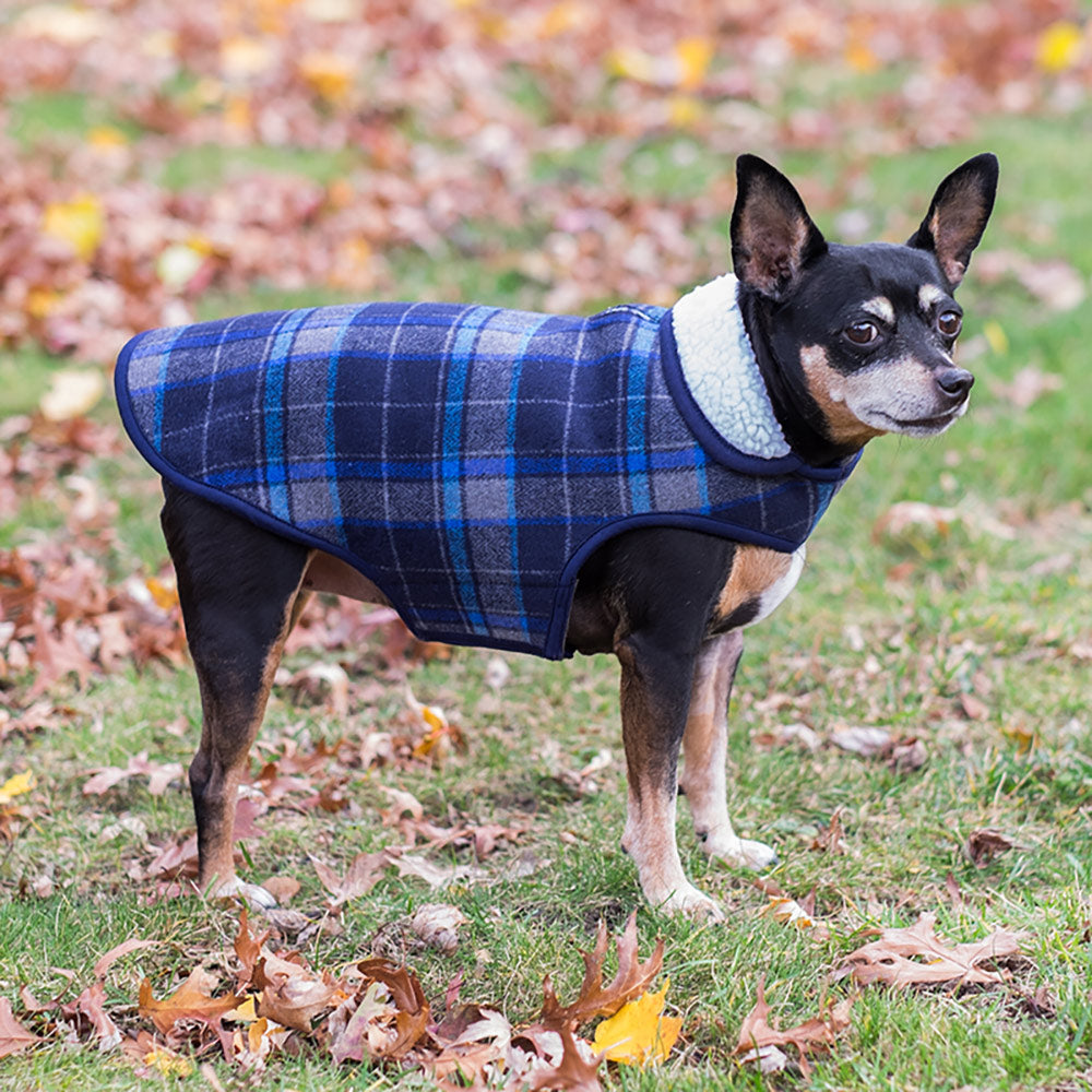 The Worthy Dog Alpine Jacket