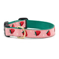 Up Country Strawberry Fields Cat Collection Collar SpadezStore
