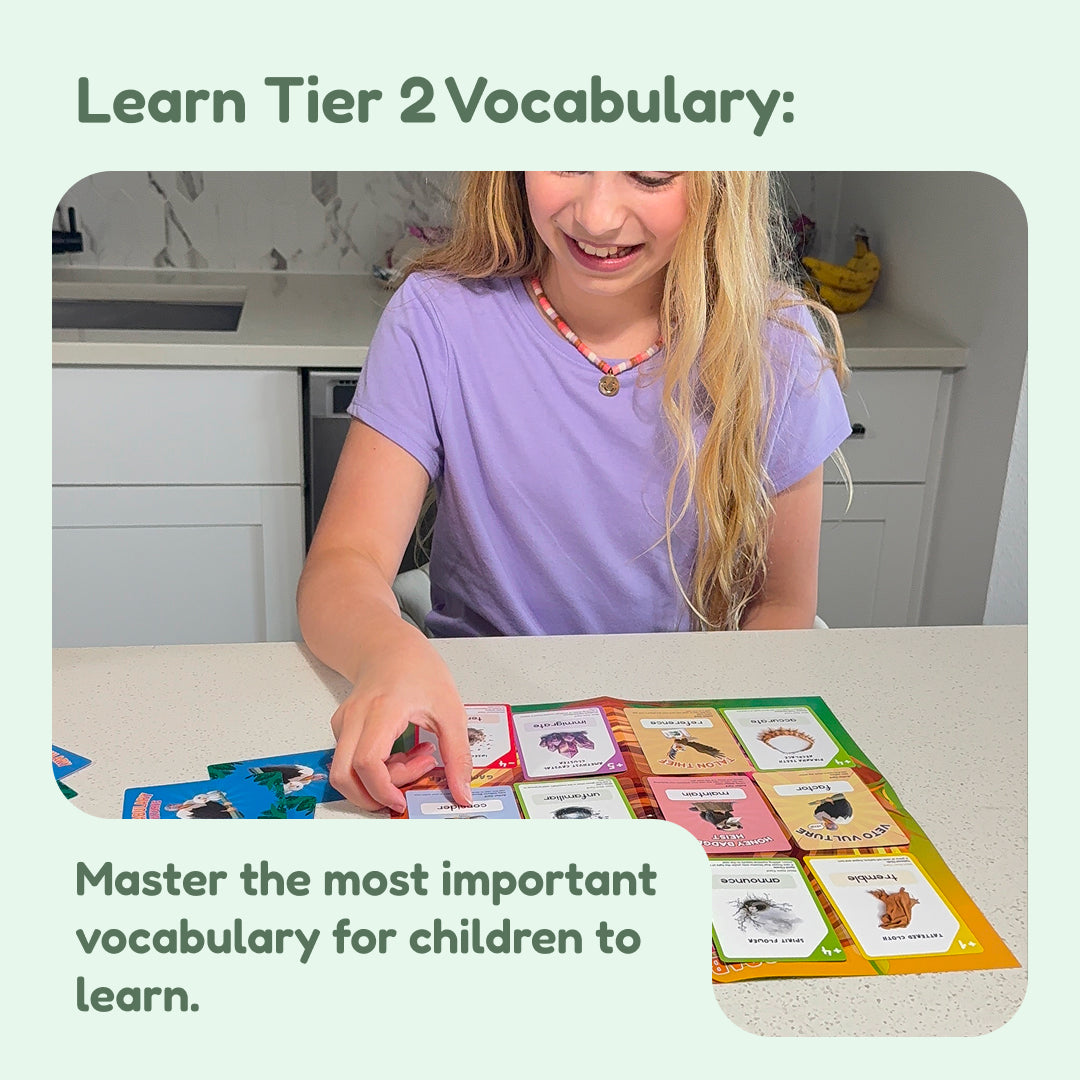 The Fidget Games Vocabulary Vultures