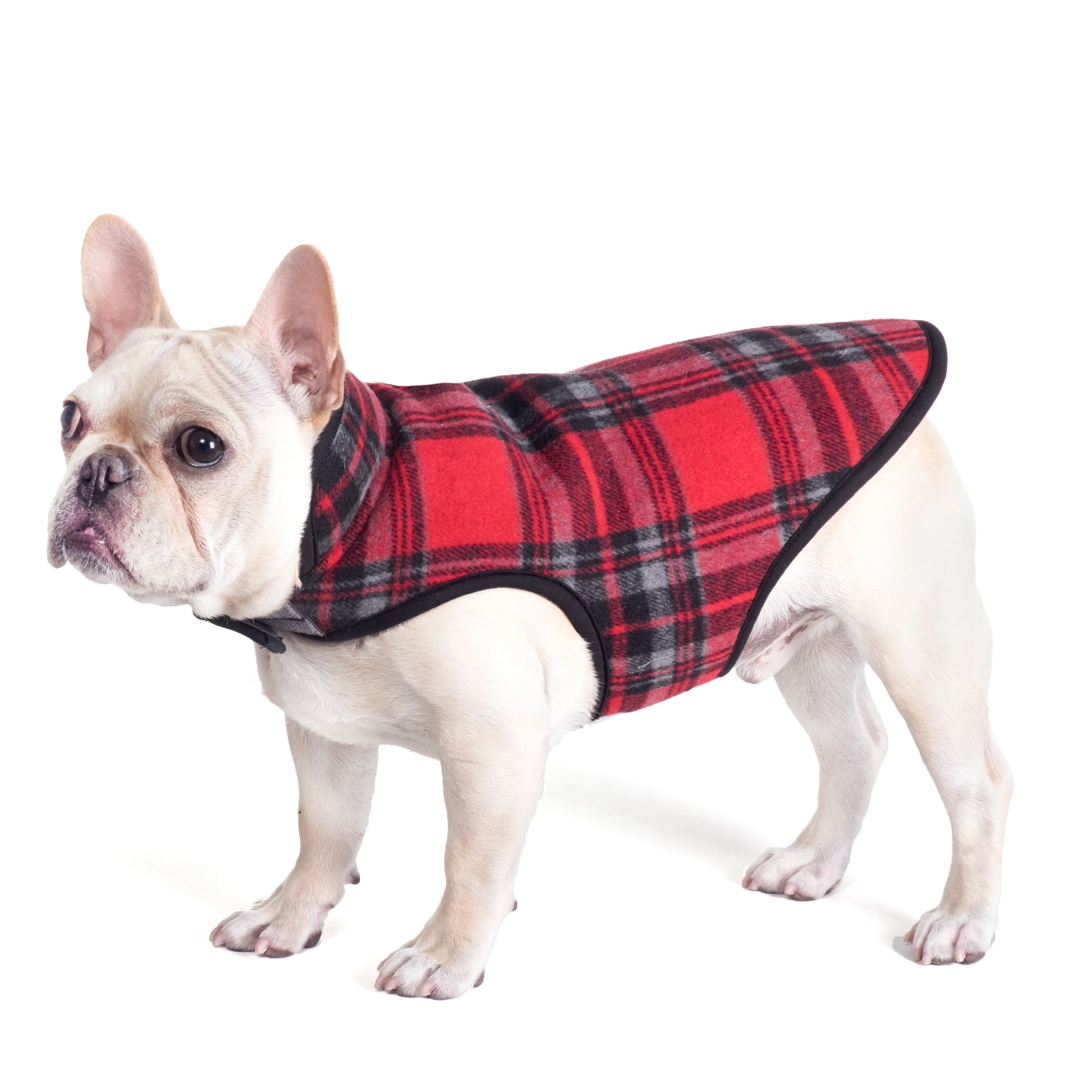 The Worthy Dog Alpine Jacket