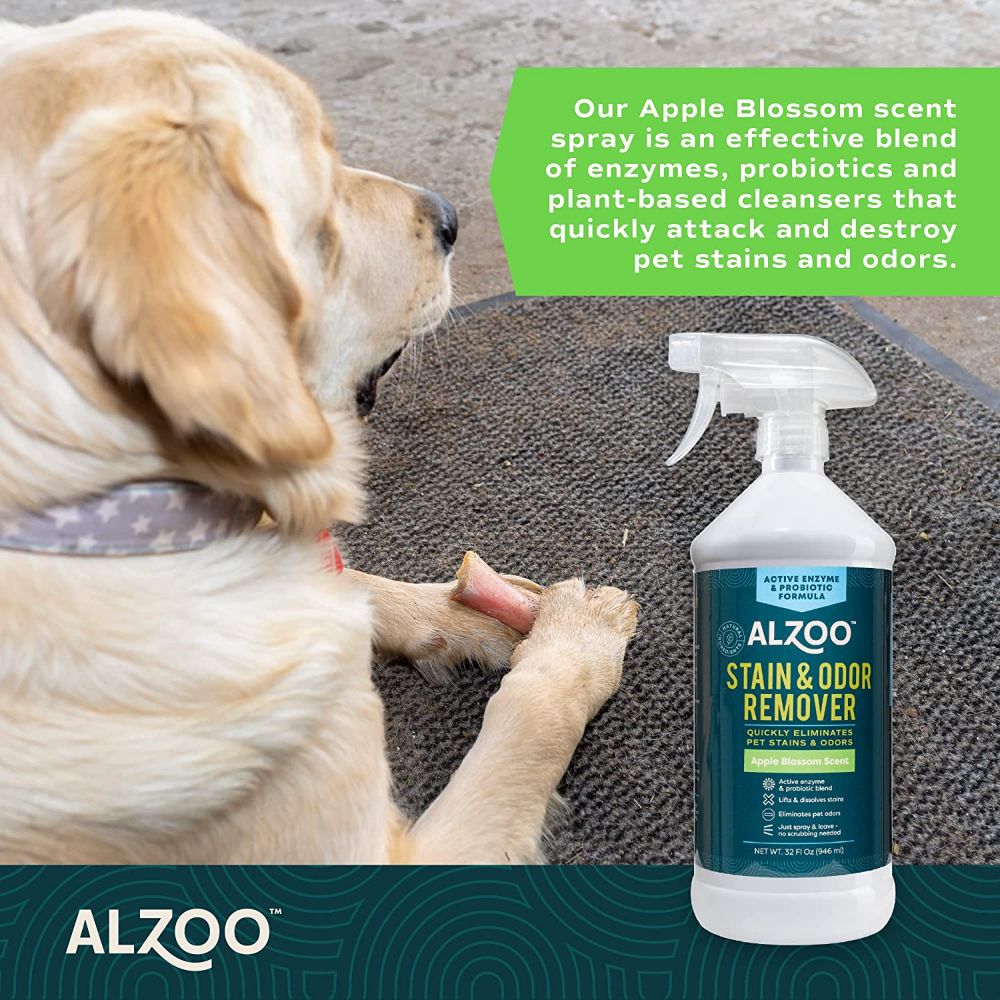 ALZOO Stain & Odor Remover Spray SpadezStore