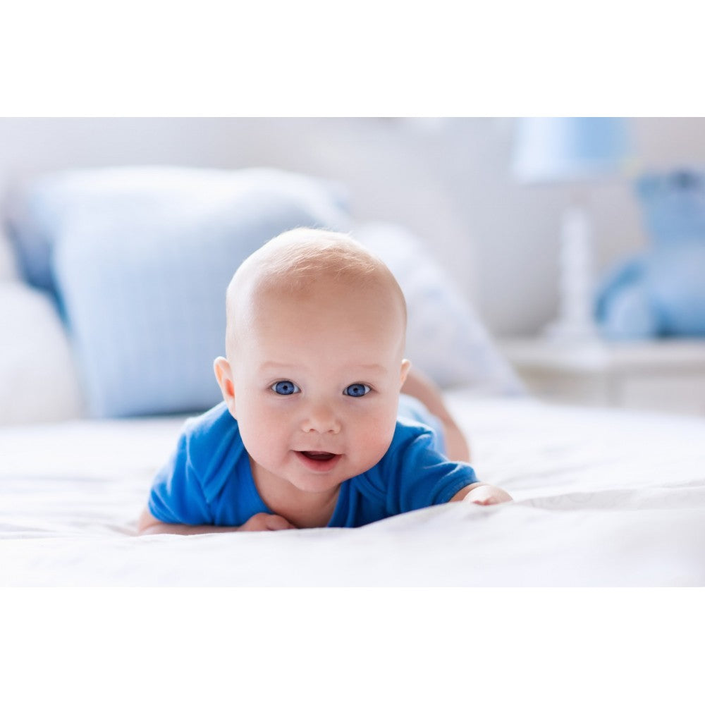 Bambini Royal Blue Interlock Short Sleeve Bodysuit Onesie SpadezStore