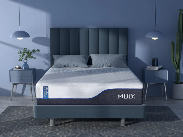 MLILY ChiroPro 3.0 Mattress SpadezStore