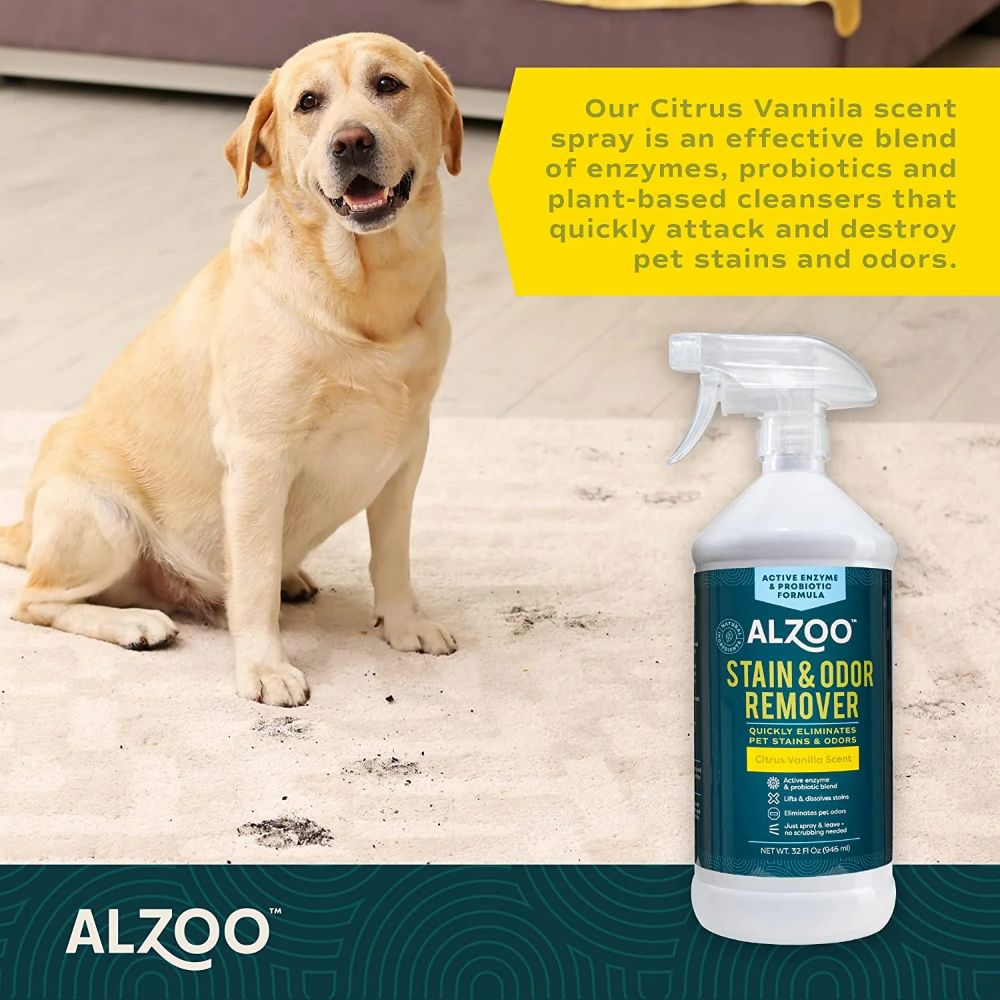 ALZOO Stain & Odor Remover Spray SpadezStore