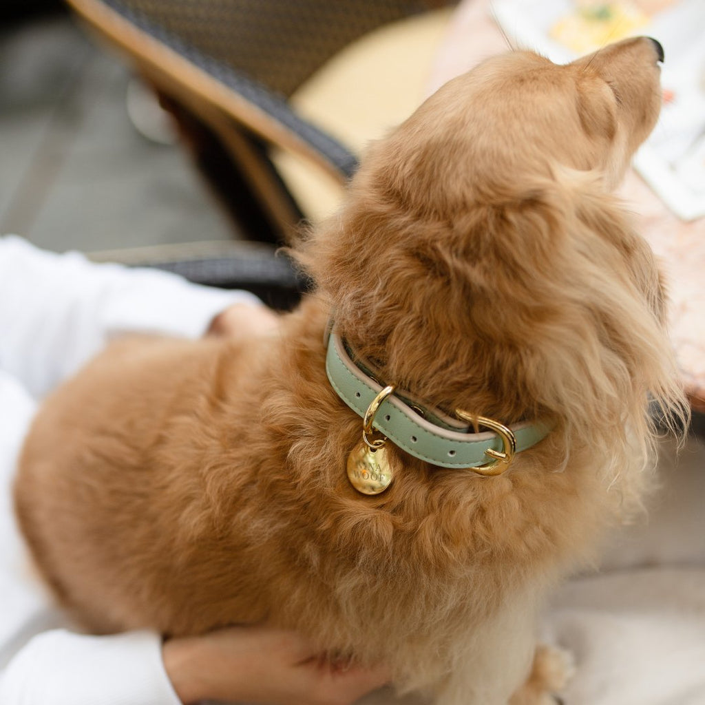 Nina Woof Collar - Vegan Leather - Copenhagen SpadezStore
