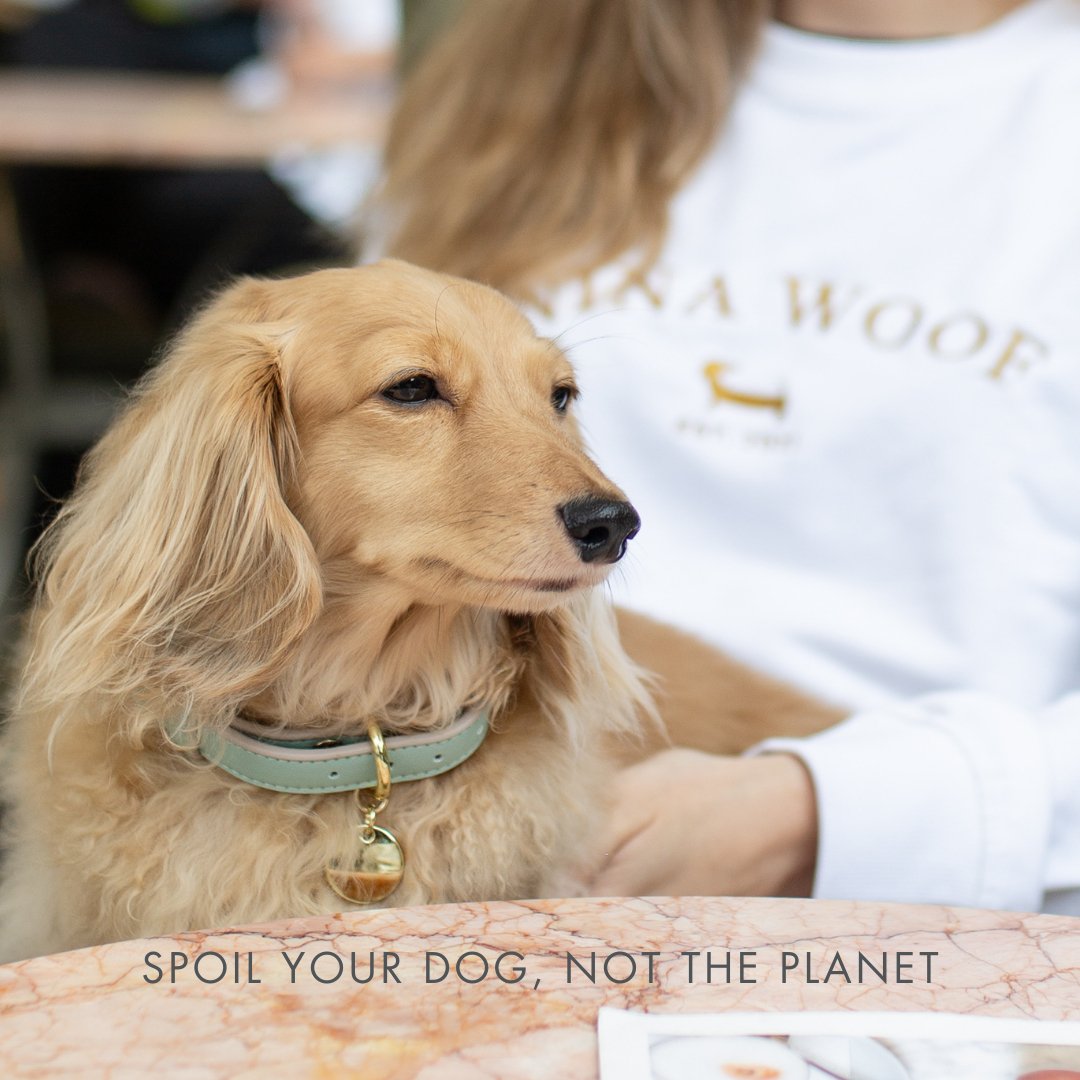 Nina Woof Collar - Vegan Leather - Copenhagen SpadezStore
