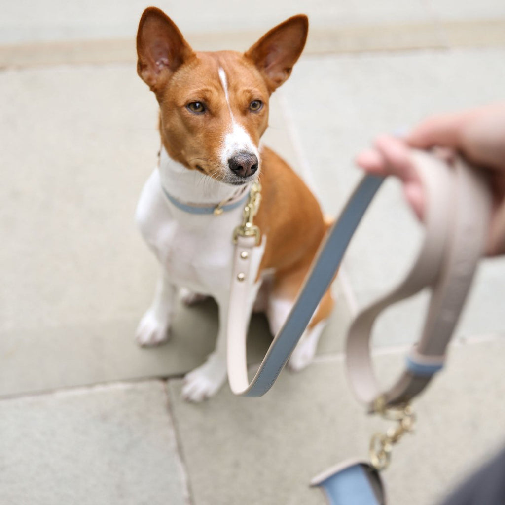 Nina Woof Leash 4ft - Vegan Leather - Cupertino SpadezStore