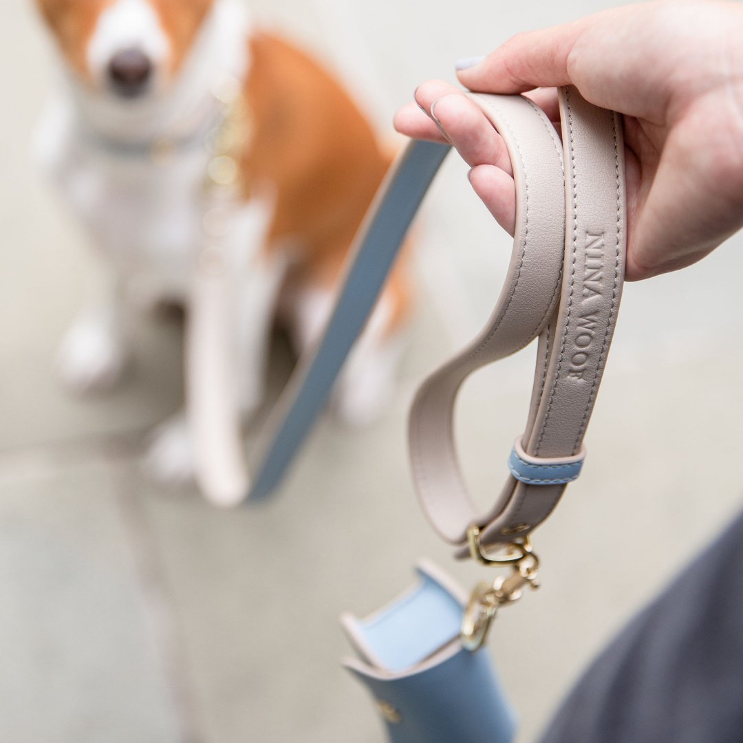 Nina Woof Leash 4ft - Vegan Leather - Cupertino SpadezStore