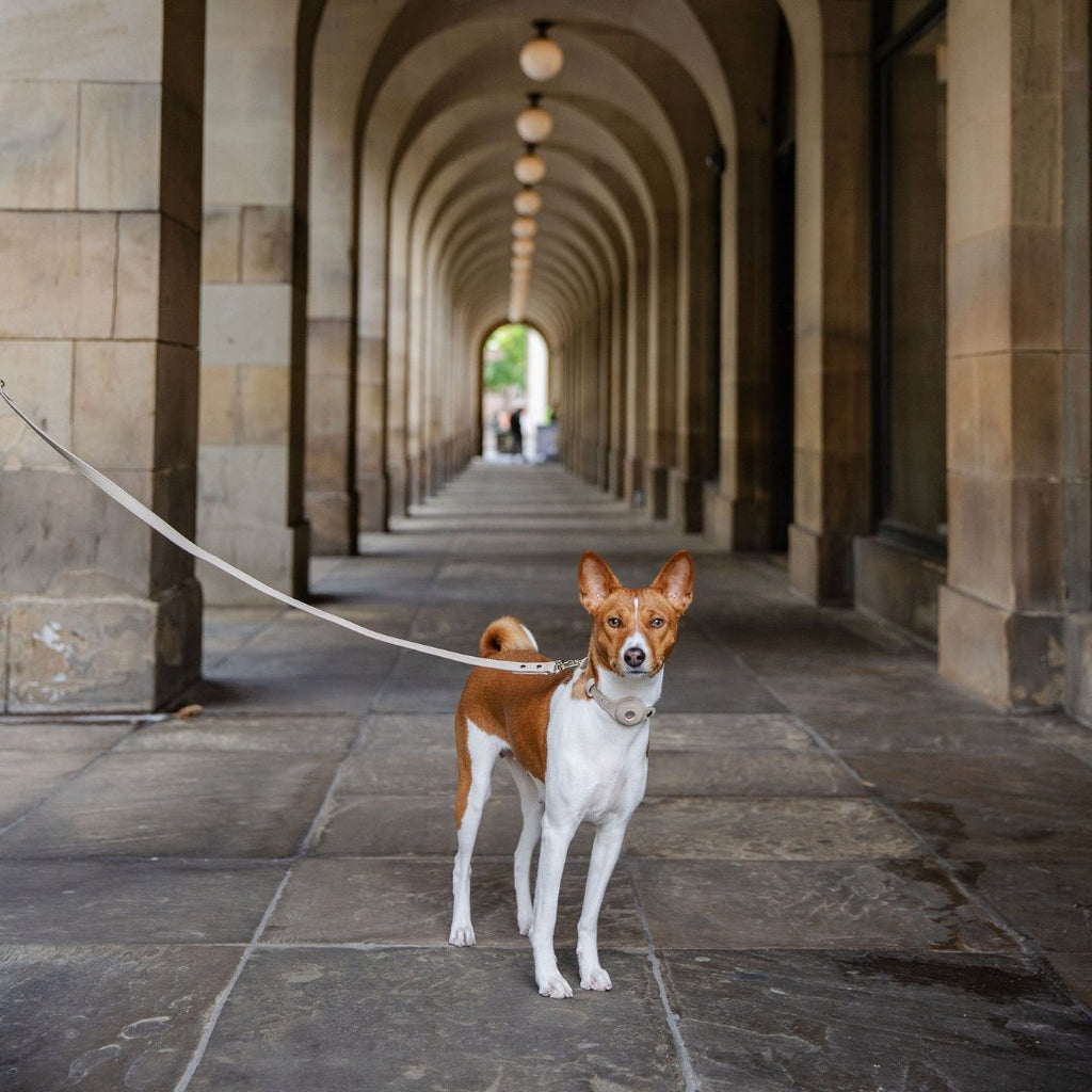 Nina Woof Leash 4ft - Vegan Leather - Cupertino SpadezStore