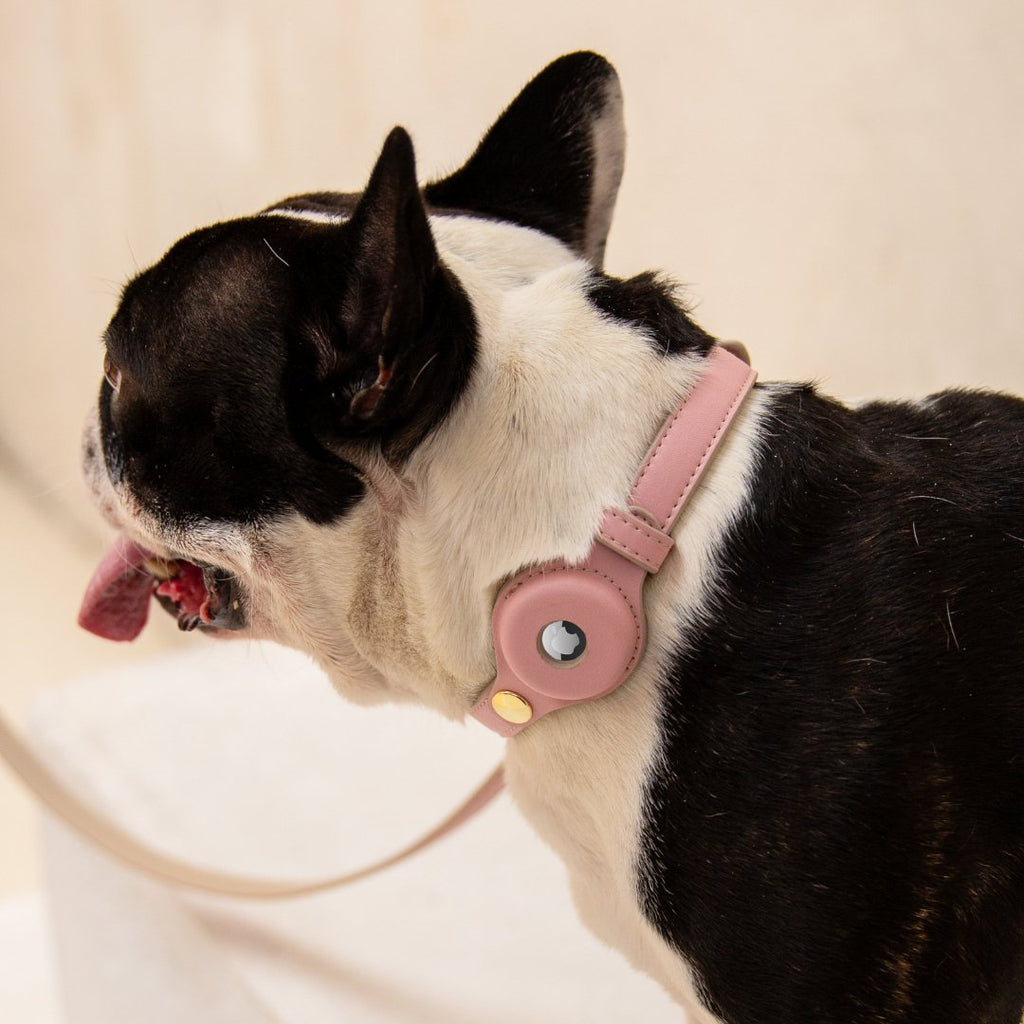 Nina Woof Collar - Air Tag Enabled - Vegan Leather - Cupertino SpadezStore