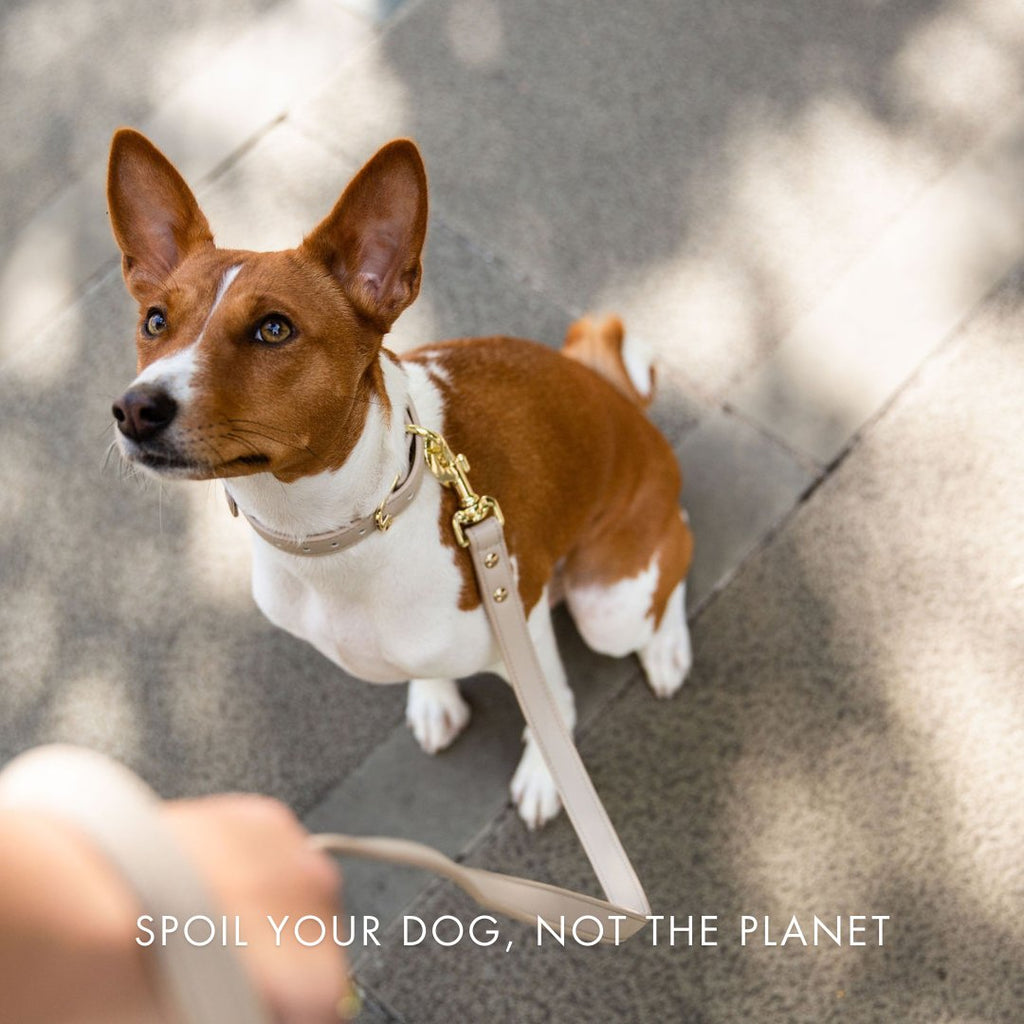 Nina Woof Collar - Air Tag Enabled - Vegan Leather - Cupertino SpadezStore